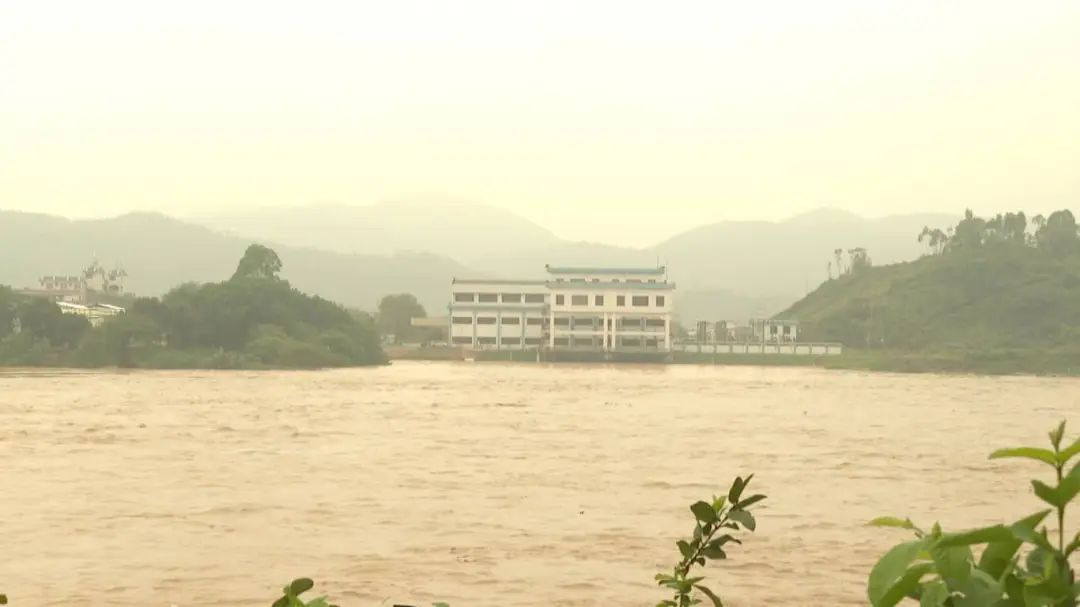 圖片來源:“四會發(fā)布”微信公眾號